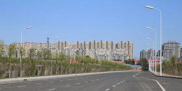 哈尔滨14项路桥及广场绿地工程投用,快来看看你能不能借上光