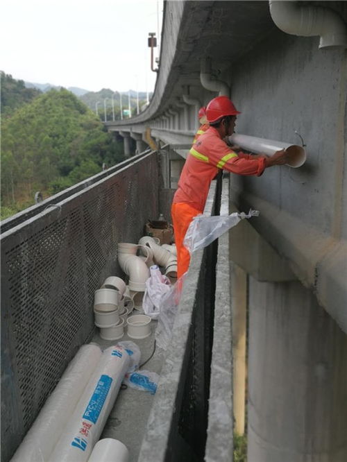 广州桥梁支座养护维修工程行业专家在线为您服务